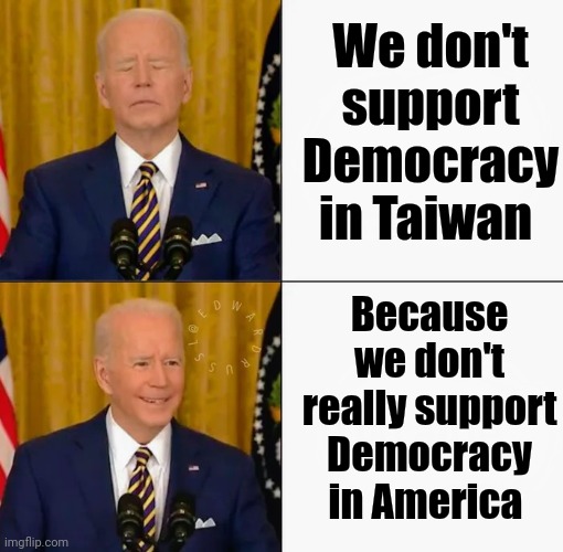 China's getting their money's worth | We don't support Democracy in Taiwan; Because we don't really support Democracy in America | image tagged in brandon and joe bling,democracy,well yes but actually no,autocracy,one to rule all | made w/ Imgflip meme maker