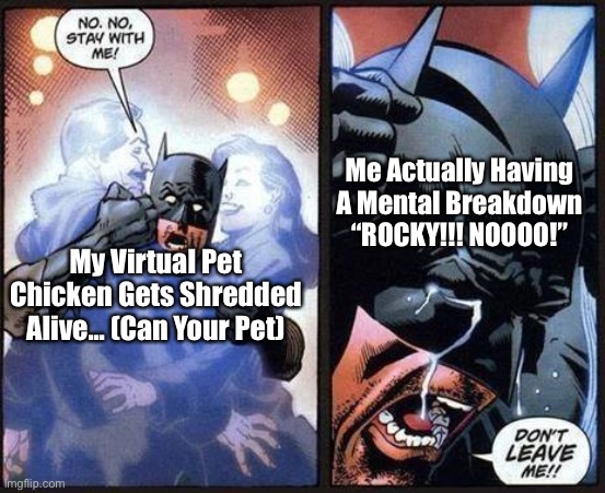 Based On A True Story, I REGRET PLAYING CAN YOUR PET! | Me Actually Having A Mental Breakdown “ROCKY!!! NOOOO!”; My Virtual Pet Chicken Gets Shredded Alive... (Can Your Pet) | image tagged in batman don't leave me,memes | made w/ Imgflip meme maker