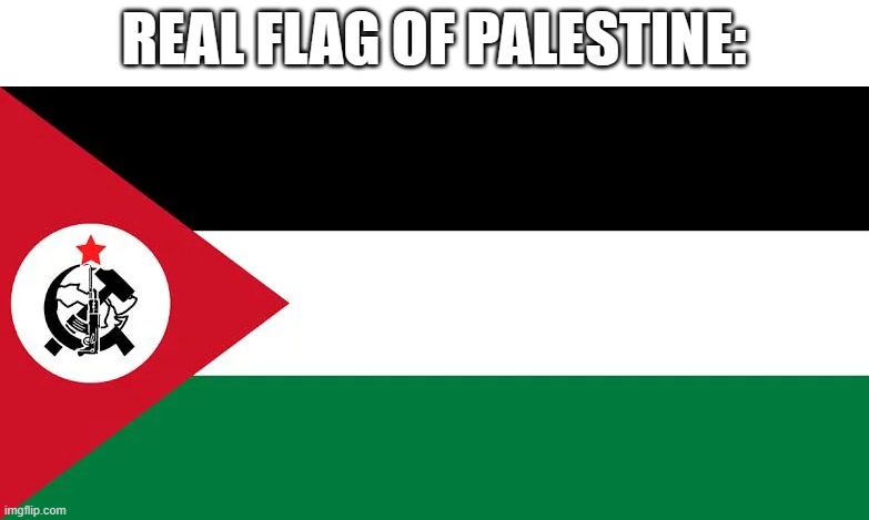 i hate palestine >:( | REAL FLAG OF PALESTINE: | image tagged in palestine,communism,communist | made w/ Imgflip meme maker