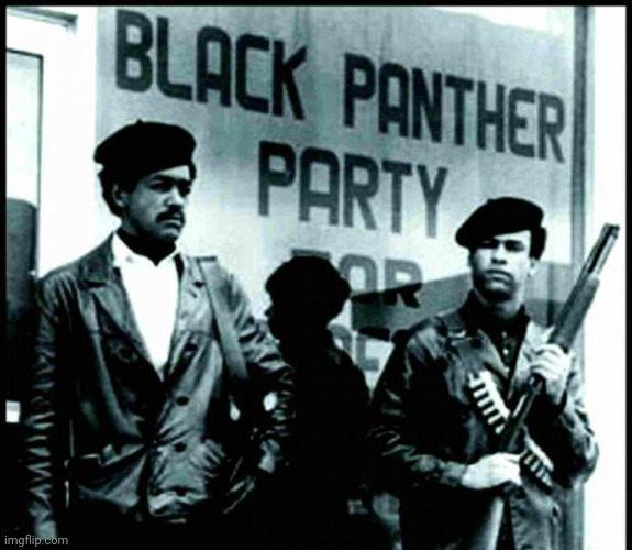 The Black Panthers  | image tagged in the black panthers | made w/ Imgflip meme maker