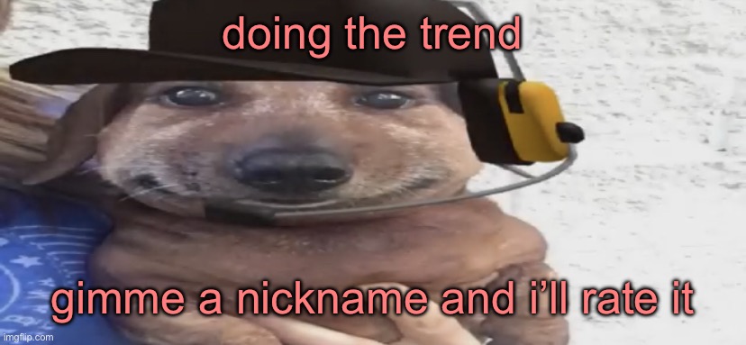 chucklenuts | doing the trend; gimme a nickname and i’ll rate it | image tagged in chucklenuts | made w/ Imgflip meme maker