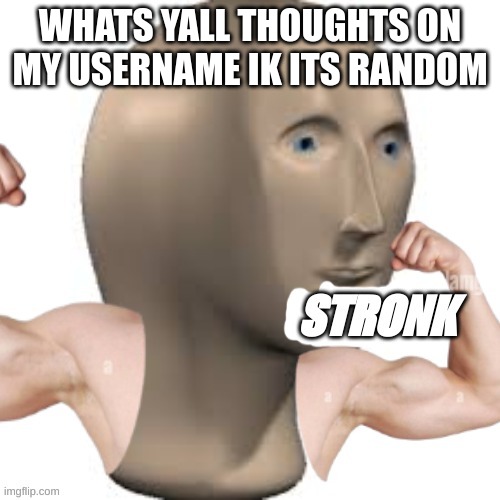 Ik | WHATS YALL THOUGHTS ON MY USERNAME IK ITS RANDOM | image tagged in stronk,memes,lol,memers | made w/ Imgflip meme maker