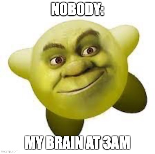 Shirby | NOBODY:; MY BRAIN AT 3AM | image tagged in shirby | made w/ Imgflip meme maker