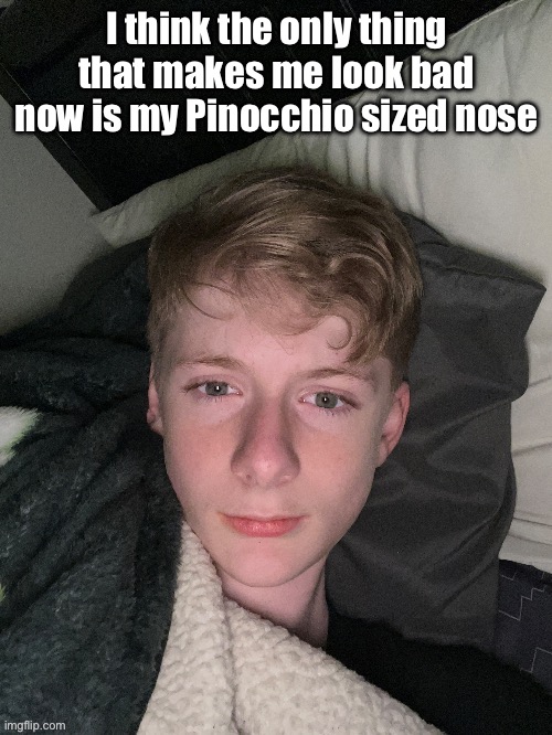 I think the only thing that makes me look bad now is my Pinocchio sized nose | made w/ Imgflip meme maker