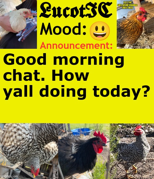 . | 😃; Good morning chat. How yall doing today? | image tagged in lucotic's cocks announcement template | made w/ Imgflip meme maker