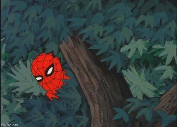 Hiding in bushes Spider-Man | image tagged in hiding in bushes spider-man | made w/ Imgflip meme maker