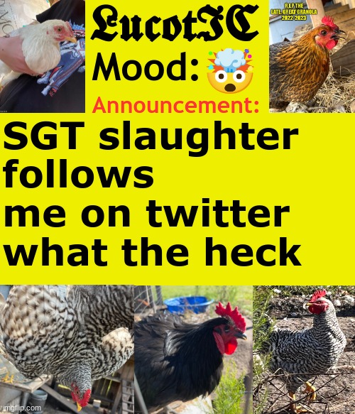 . | 🤯; SGT slaughter follows me on twitter what the heck | image tagged in lucotic's cocks announcement template | made w/ Imgflip meme maker