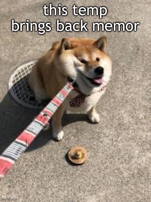 Squishy doggo leash | this temp brings back memor | image tagged in squishy doggo leash | made w/ Imgflip meme maker