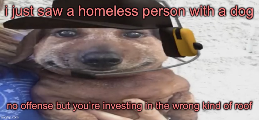 chucklenuts | i just saw a homeless person with a dog; no offense but you’re investing in the wrong kind of roof | image tagged in chucklenuts | made w/ Imgflip meme maker