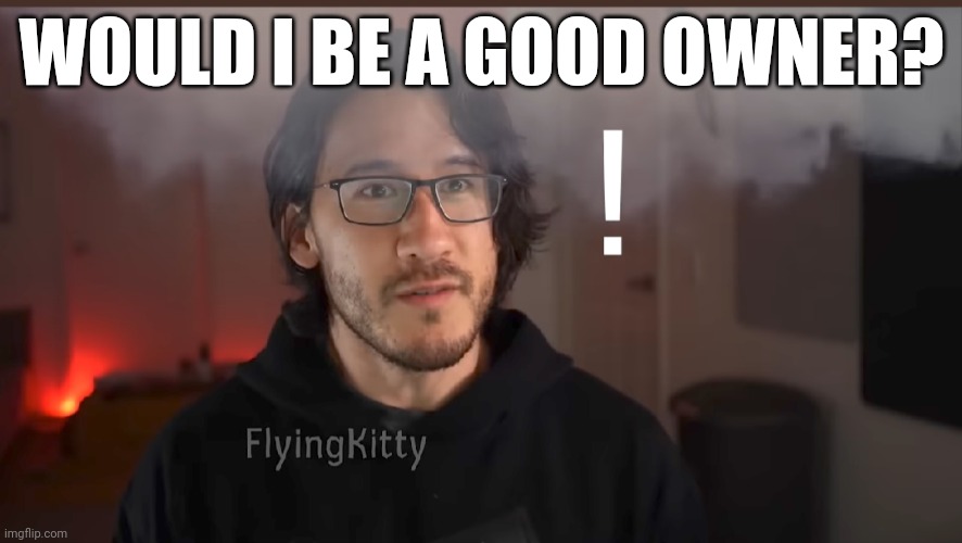 Answer is obviously no | WOULD I BE A GOOD OWNER? | made w/ Imgflip meme maker