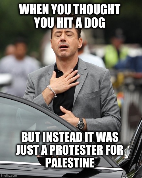 What a relief! | WHEN YOU THOUGHT 
YOU HIT A DOG; BUT INSTEAD IT WAS 
JUST A PROTESTER FOR 
PALESTINE | image tagged in relief | made w/ Imgflip meme maker