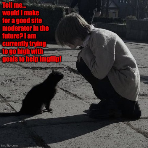 Tell me... would I make for a good site moderator in the future? I am currently trying to go high with goals to help imgflip! | made w/ Imgflip meme maker