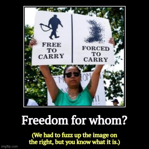 Freedom for whom? | (We had to fuzz up the image on the right, but you know what it is.) | image tagged in funny,demotivationals,freedom,second amendment,womens rights,liberty | made w/ Imgflip demotivational maker