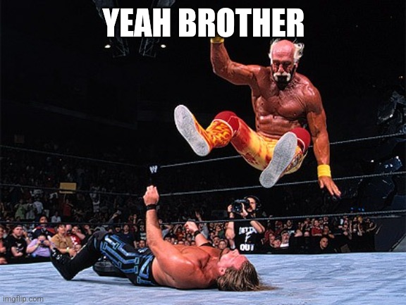 Yeah, brother! Hulk Hogan | YEAH BROTHER | image tagged in yeah brother hulk hogan | made w/ Imgflip meme maker