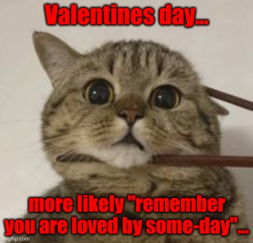 Valentines day... more likely "remember you are loved by some-day"... | made w/ Imgflip meme maker