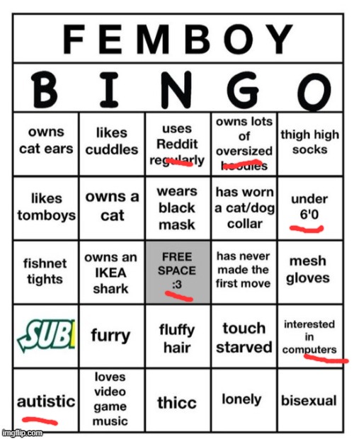 Femboy Bingo | image tagged in femboy bingo | made w/ Imgflip meme maker