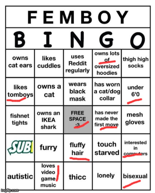 Chat, would you say I’m a femboy | image tagged in femboy bingo | made w/ Imgflip meme maker