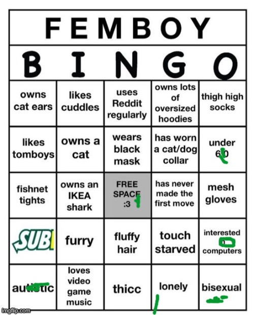 Femboy Bingo | image tagged in femboy bingo | made w/ Imgflip meme maker