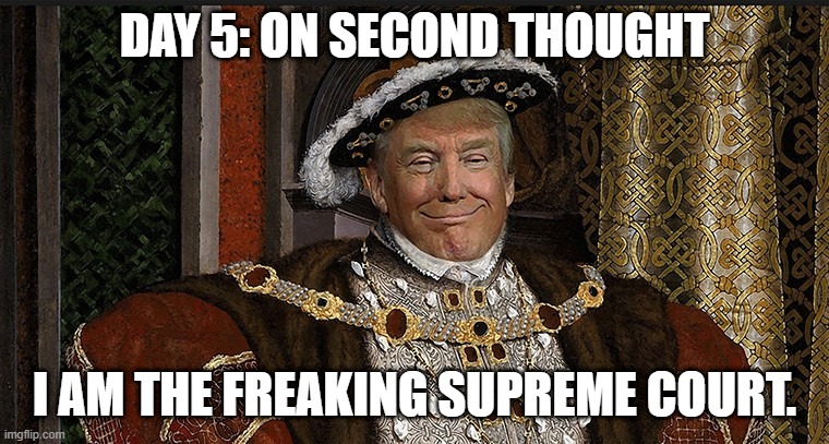 Trump King | DAY 5: ON SECOND THOUGHT I AM THE FREAKING SUPREME COURT. | image tagged in trump king | made w/ Imgflip meme maker