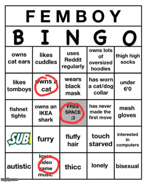 *sigma music idk* | image tagged in femboy bingo | made w/ Imgflip meme maker
