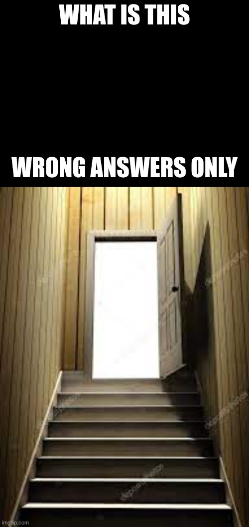 Wrong answers only #2 | WHAT IS THIS; WRONG ANSWERS ONLY | image tagged in memes,wrong answers only,door | made w/ Imgflip meme maker