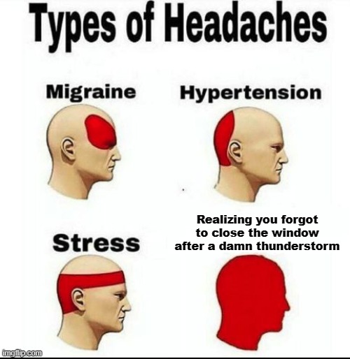 the worst part is that you cant remember it being open | Realizing you forgot to close the window after a damn thunderstorm | image tagged in types of headaches meme,relatable memes,painful,fuck,torment | made w/ Imgflip meme maker