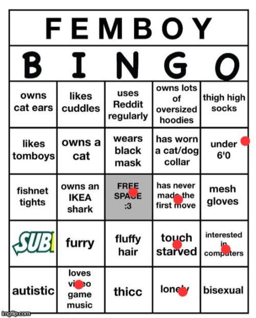 Femboy Bingo | image tagged in femboy bingo | made w/ Imgflip meme maker