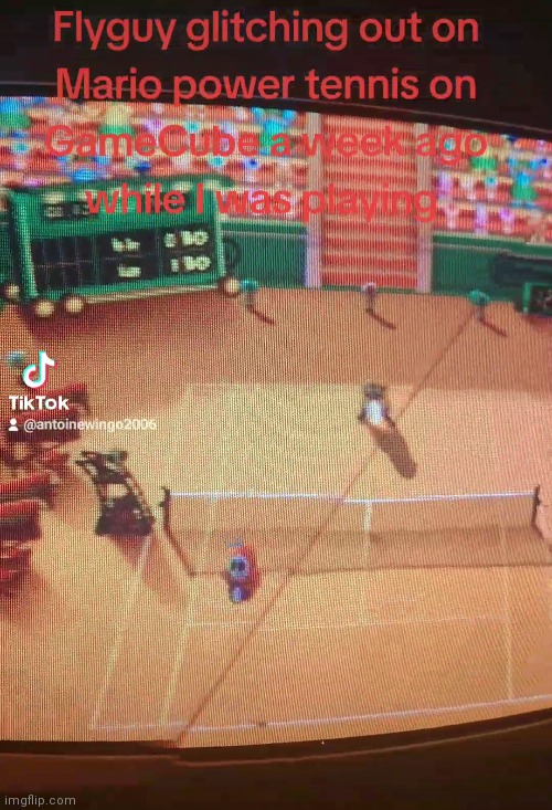 Flyguy was glitching out like crazy | image tagged in glitchy flyguy,flyguy,memes,flyguy memes,mario power tennis memes,mario tennis | made w/ Imgflip meme maker