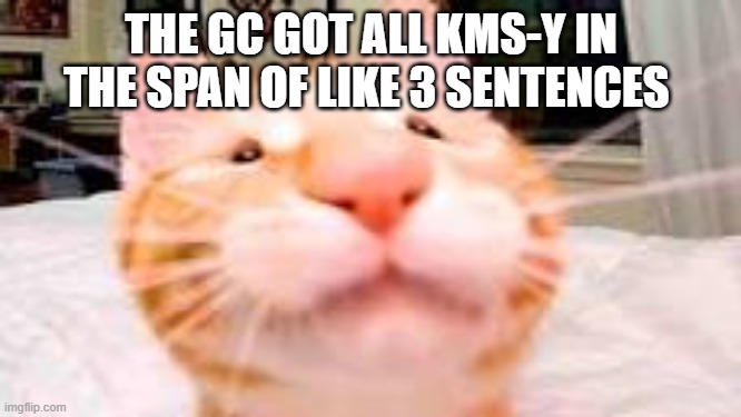 ummmmmmmmm its fine userphone distracted them by the time this loaded | THE GC GOT ALL KMS-Y IN THE SPAN OF LIKE 3 SENTENCES | image tagged in my dog is extra crunchy and has diarrhea | made w/ Imgflip meme maker