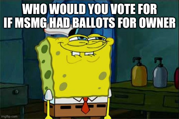 Don't You Squidward Meme | WHO WOULD YOU VOTE FOR IF MSMG HAD BALLOTS FOR OWNER | image tagged in memes,don't you squidward | made w/ Imgflip meme maker