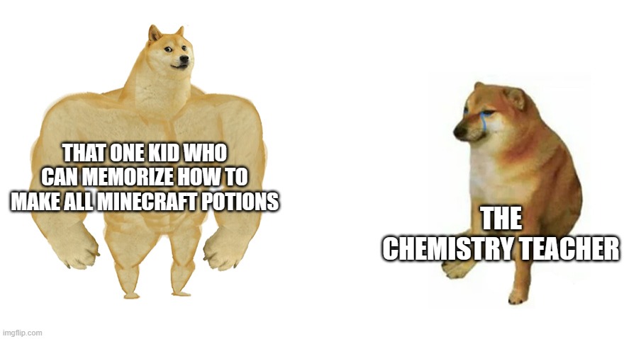 Sorry i have not posted in a while | THAT ONE KID WHO CAN MEMORIZE HOW TO MAKE ALL MINECRAFT POTIONS; THE CHEMISTRY TEACHER | image tagged in buff doge vs crying cheems | made w/ Imgflip meme maker