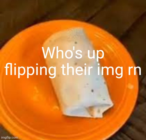 JimmyHere Burrito | Who's up flipping their img rn | image tagged in jimmyhere burrito | made w/ Imgflip meme maker