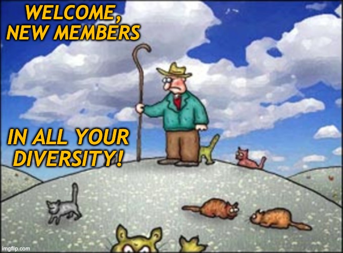 84 on the stream now, wow! | WELCOME, NEW MEMBERS; IN ALL YOUR DIVERSITY! | image tagged in herding cats,neurodivergent,diversity,cats,memes | made w/ Imgflip meme maker