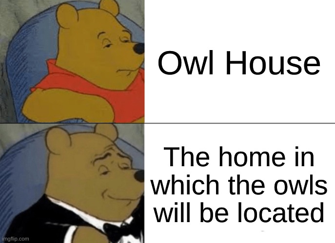 Tuxedo Winnie The Pooh Meme | Owl House; The home in which the owls will be located | image tagged in memes,tuxedo winnie the pooh | made w/ Imgflip meme maker