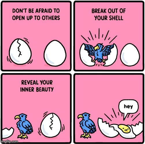 Delicious eggs | image tagged in eggs,egg,beauty,bird,comics,comics/cartoons | made w/ Imgflip meme maker
