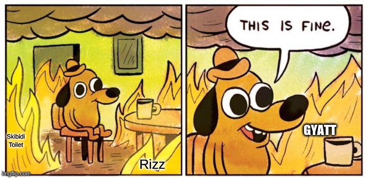 This Is Fine Meme | GYATT; Skibidi Toilet; Rizz | image tagged in memes,this is fine | made w/ Imgflip meme maker