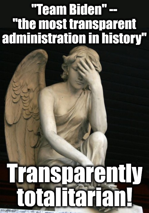 angel facepalm | "Team Biden" -- "the most transparent administration in history" Transparently
totalitarian! | image tagged in angel facepalm | made w/ Imgflip meme maker
