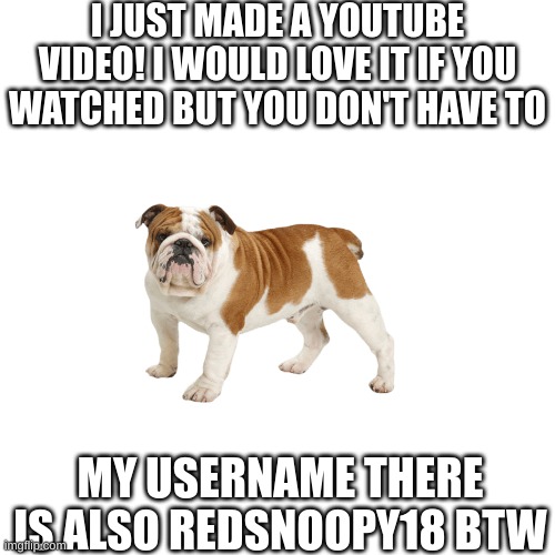 Not begging or anything | I JUST MADE A YOUTUBE VIDEO! I WOULD LOVE IT IF YOU WATCHED BUT YOU DON'T HAVE TO; MY USERNAME THERE IS ALSO REDSNOOPY18 BTW | image tagged in youtube | made w/ Imgflip meme maker