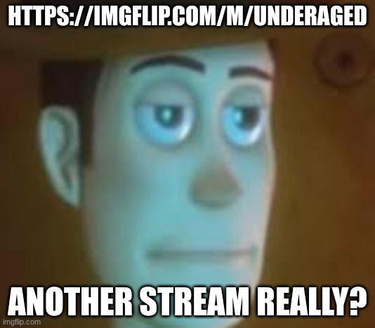 you have got to be kidding | HTTPS://IMGFLIP.COM/M/UNDERAGED; ANOTHER STREAM REALLY? | image tagged in disappointed woody | made w/ Imgflip meme maker