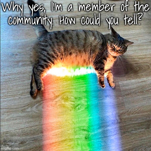 Just a hunch. | Why yes, I'm a member of the
community. How could you tell? | image tagged in rainbow cat,lgbt,funny animal | made w/ Imgflip meme maker