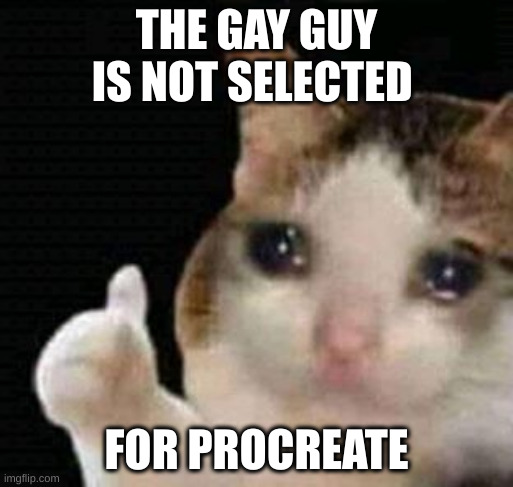 procreate | THE GAY GUY IS NOT SELECTED; FOR PROCREATE | image tagged in sad thumbs up cat | made w/ Imgflip meme maker