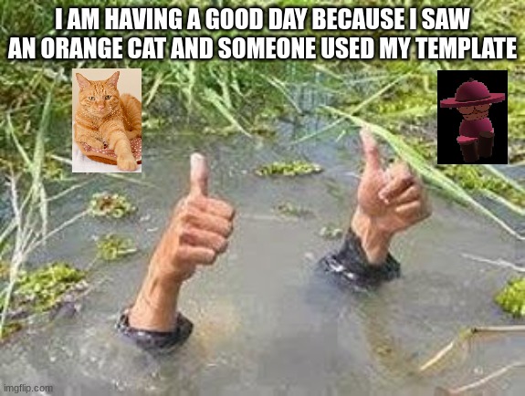 I'm having a good day! | I AM HAVING A GOOD DAY BECAUSE I SAW AN ORANGE CAT AND SOMEONE USED MY TEMPLATE | image tagged in flooding thumbs up,today was a good day,orange cat,bambi purgatory,banbodi | made w/ Imgflip meme maker