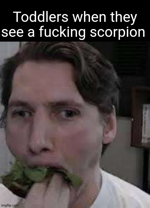 eat lettuce | Toddlers when they see a fucking scorpion | image tagged in eat lettuce | made w/ Imgflip meme maker