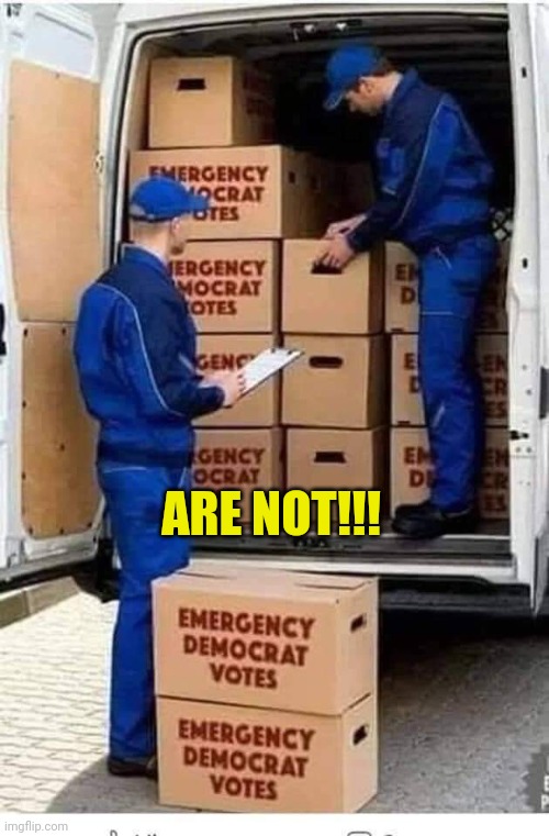 Emergency Democrat Votes | ARE NOT!!! | image tagged in emergency democrat votes | made w/ Imgflip meme maker