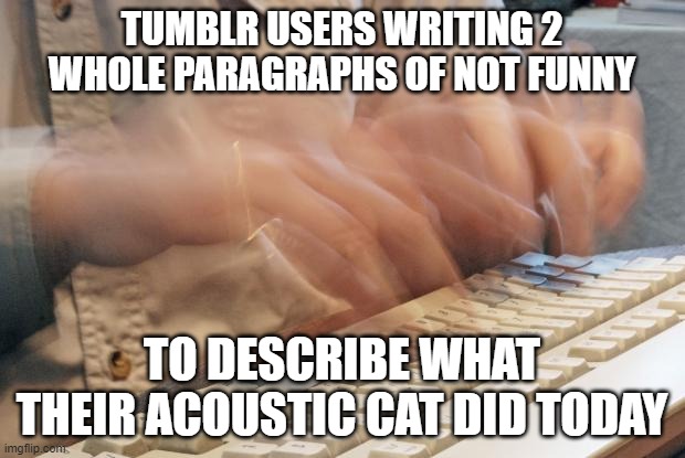 If you've seen it, then you get it. | TUMBLR USERS WRITING 2 WHOLE PARAGRAPHS OF NOT FUNNY; TO DESCRIBE WHAT THEIR ACOUSTIC CAT DID TODAY | image tagged in typing fast | made w/ Imgflip meme maker