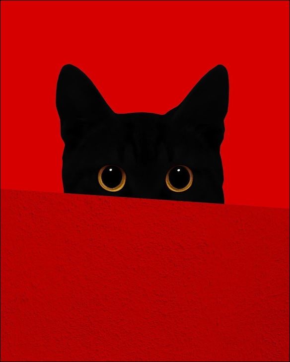 gatito negro ojos Blank Meme Template