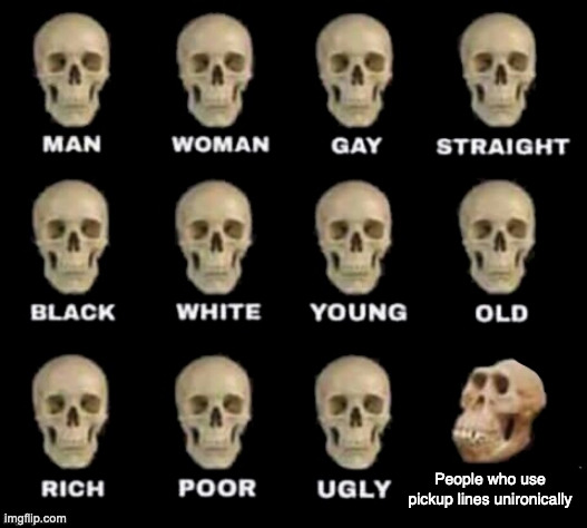 Please no | People who use pickup lines unironically | image tagged in idiot skull,funny,memes,pickup lines | made w/ Imgflip meme maker
