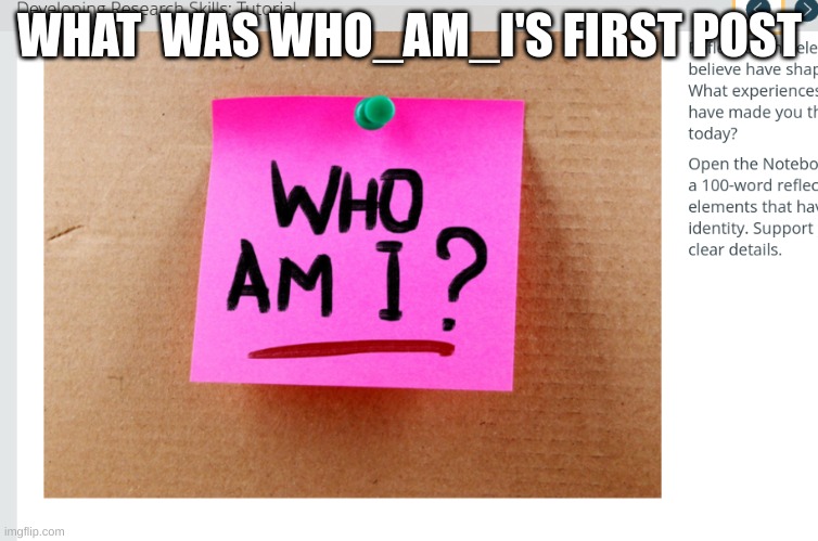 What was who am i's first post | WHAT  WAS WHO_AM_I'S FIRST POST | image tagged in who_am_i,memes,lol,who am i | made w/ Imgflip meme maker