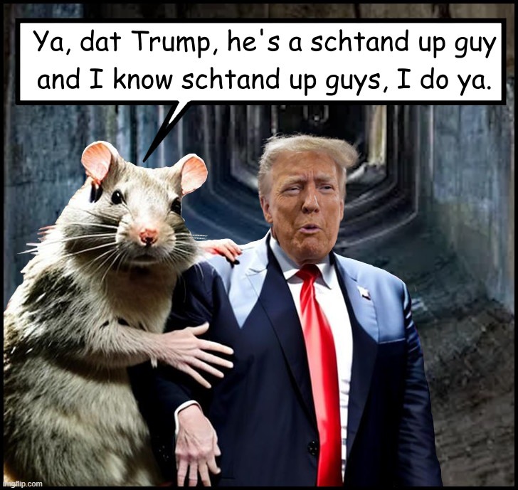 Donnie "Da Chump" Trump's latest (cartoon) character witness - Sammy "Da Rat" Gravano. | image tagged in trump,donald trump,chump trump,sammy gravano,convict 45,convict trump | made w/ Imgflip meme maker