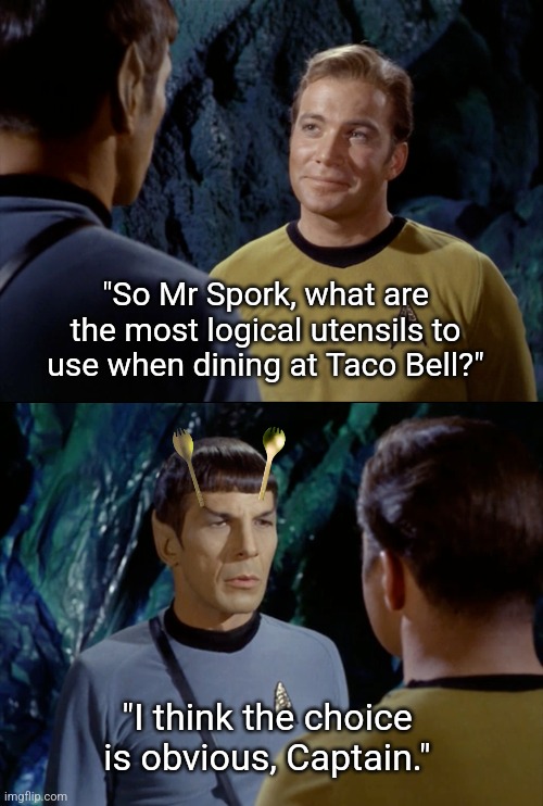 Spork | "So Mr Spork, what are the most logical utensils to use when dining at Taco Bell?"; "I think the choice is obvious, Captain." | image tagged in spork | made w/ Imgflip meme maker